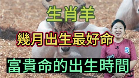 屬羊幾月生好|12生肖農曆幾月出生命最好——生肖羊